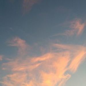 Meet your Posher, Jaedin